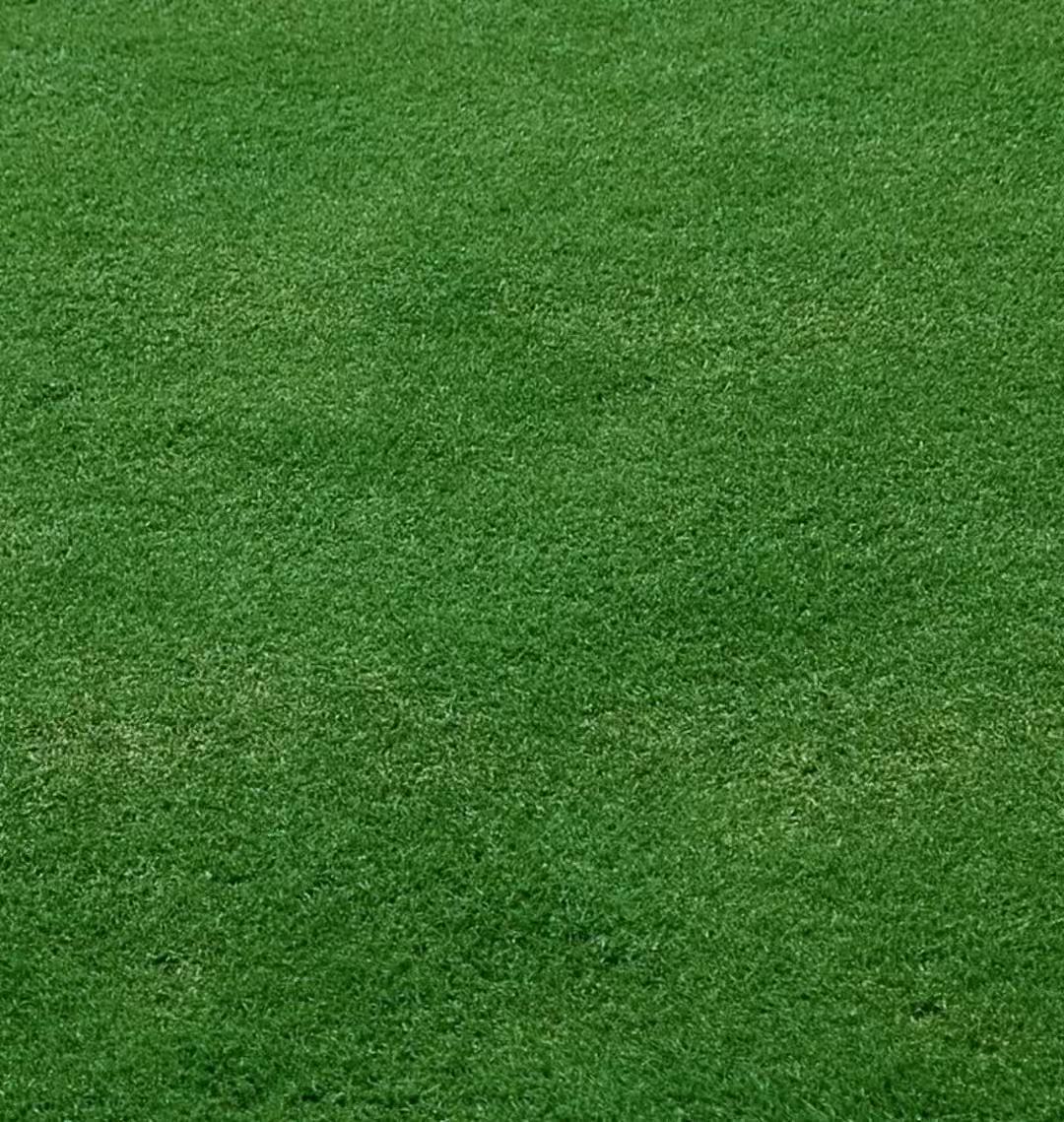 色母粒鉴定同一性